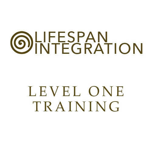 Lifespan Integration USA Level one training icon