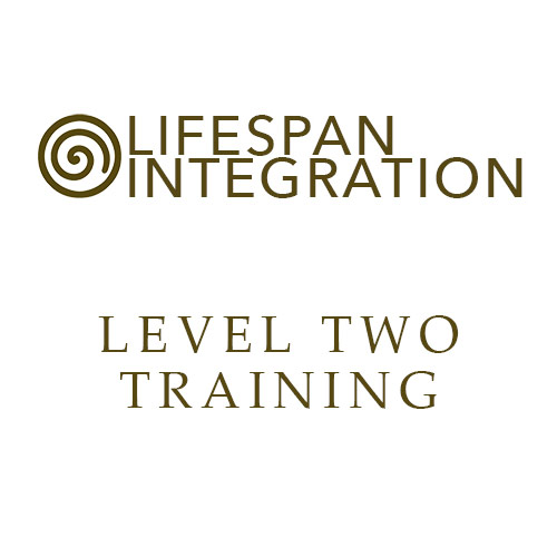 Lifespan Integration USA Level two training icon